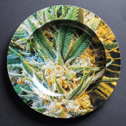 Tobacco Herb Rolling Ashtray