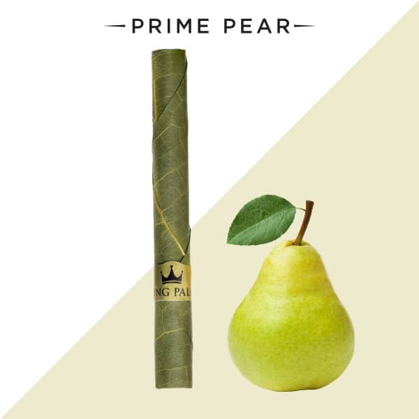 King Palm Perfect Pear