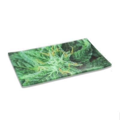 AK-47 Shatter Resistant Rolling Tray | Smokefair