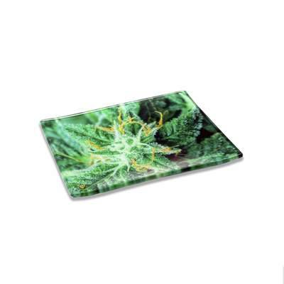 AK-47 Shatter Resistant Rolling Tray | Smokefair