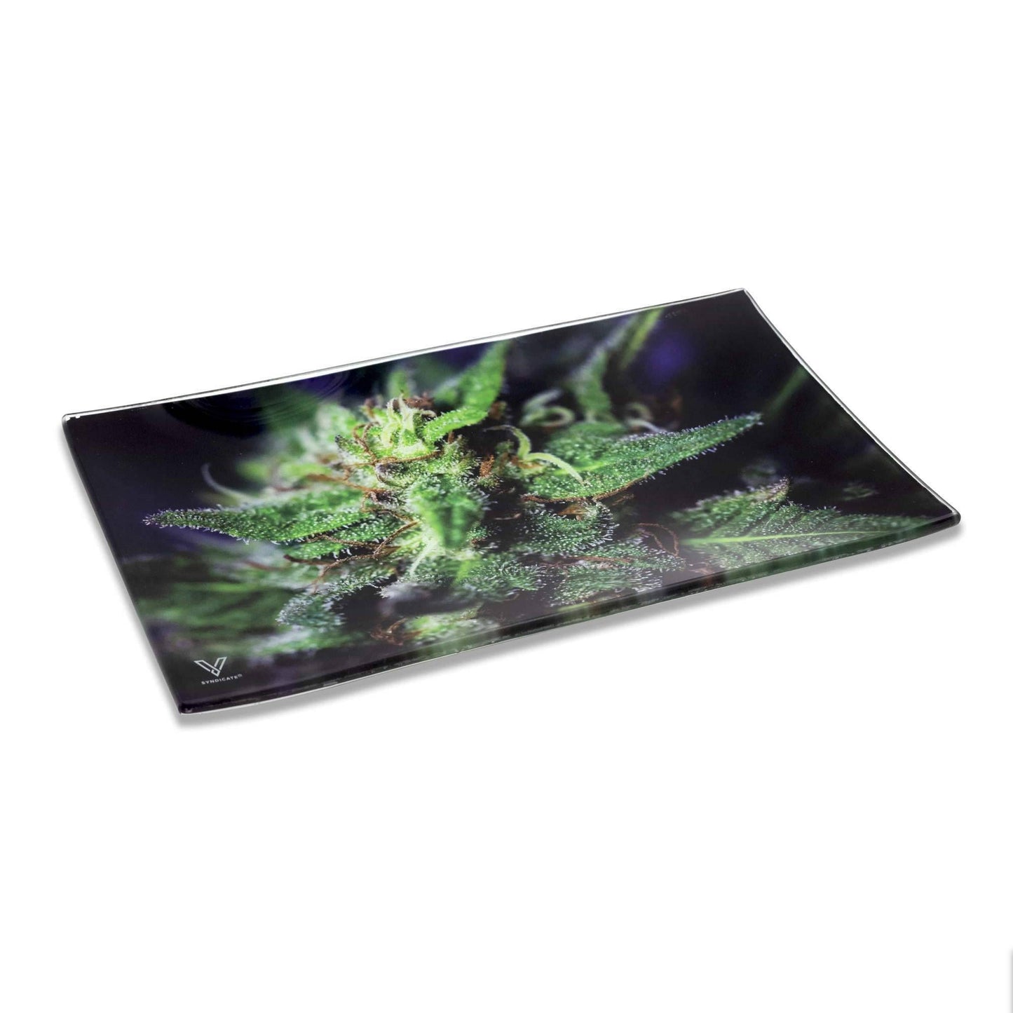 Blue Dream Glass Shatter Resistant Rolling Tray