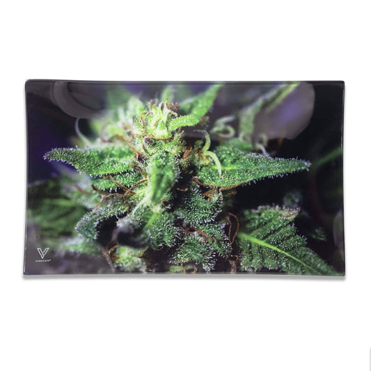 Blue Dream Glass Shatter Resistant Rolling Tray